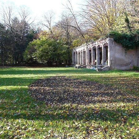B&B Giardino Jappelli Роза Экстерьер фото