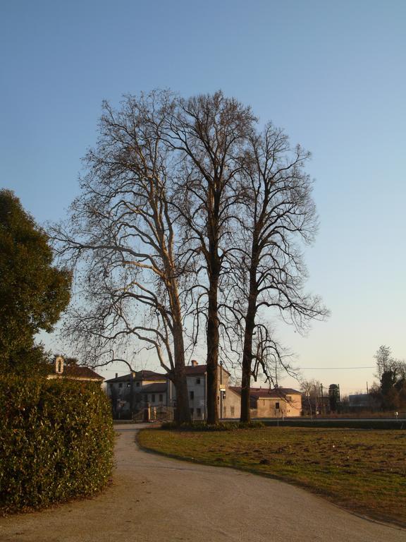 B&B Giardino Jappelli Роза Экстерьер фото
